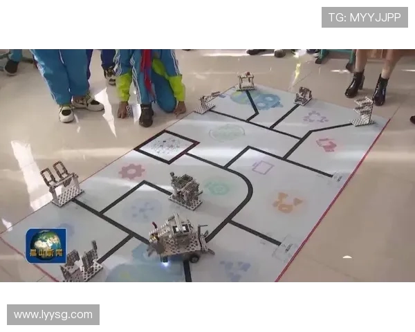 世界板球锦标赛投手的心理博弈战术解析