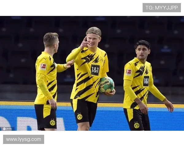 多特蒙德青春工厂新秀观察