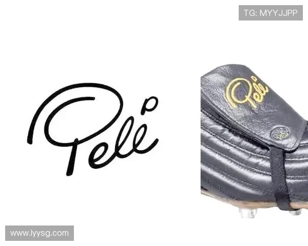 体育明星自传内容真实性对品牌价值的影响